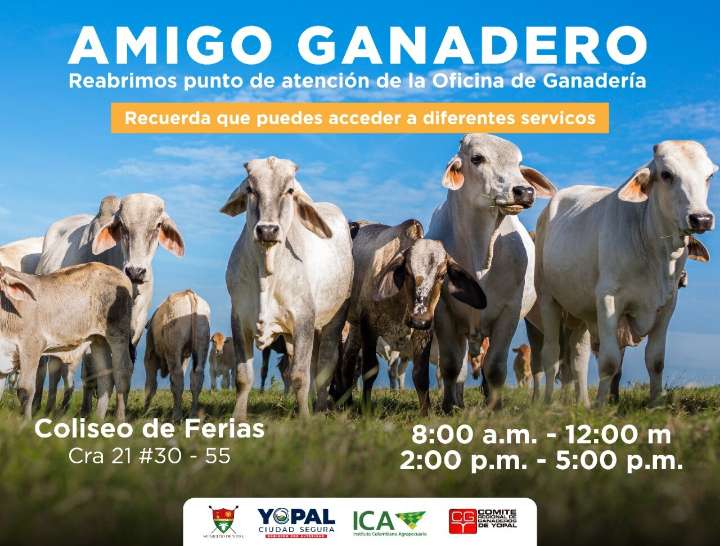 Hoy 1 de febrero se retoma atención en la Oficina de Ganadería de Yopal