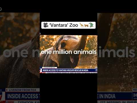 World’s LARGEST rescue