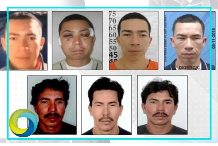Capturan en España a ‘Pipo’ Chavarría, líder del cártel ecuatoriano ‘Los Lobos’ y aliado del CJNG
