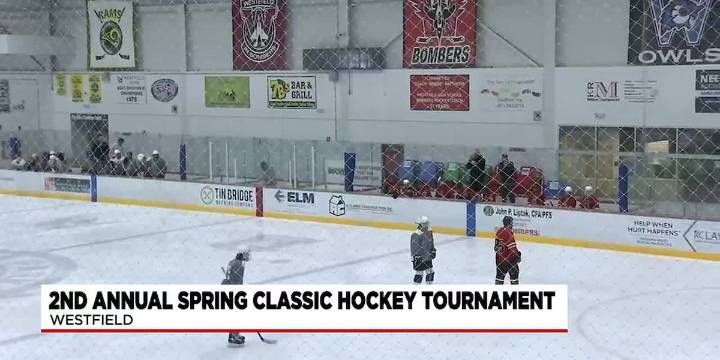 Amelia Park Arena asks for public support in getting upgrades