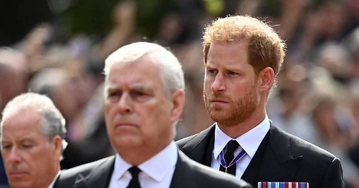 Prince Harry's scathing remarks about his disgraced uncle resurface