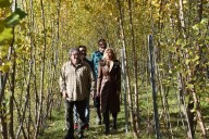 La Junta impulsa un proyecto para recuperar los olmos en los pueblos de Cuenca