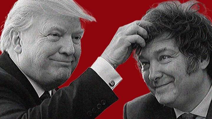 Gatito mimoso | Imitando a Trump, Milei no asistirá a la cumbre del G20