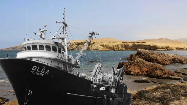 El futuro de Paracas en manos del Poder Judicial: Se acerca el fallo que decidirá si la pesca industrial podrá ingresar a las áreas naturales protegidas