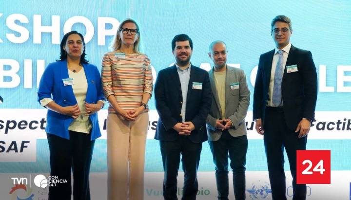 Estudio internacional señala que Chile tiene alto potencial para producir combustibles sostenibles de aviación