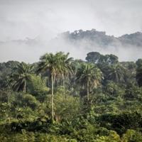The case of Africa's 'vanishing' carbon deals