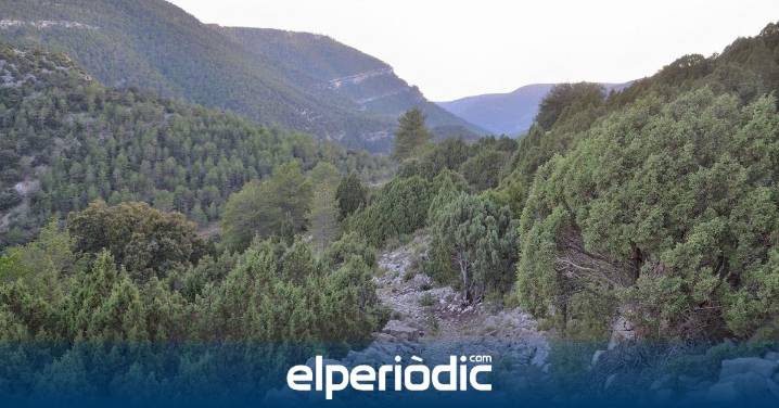 Localizan a un hombre desaparecido entre Mosqueruela y Vistabella tras pasar la noche en la montaña
