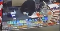 Shocking video shows black bear chasing boy into Family Dollar