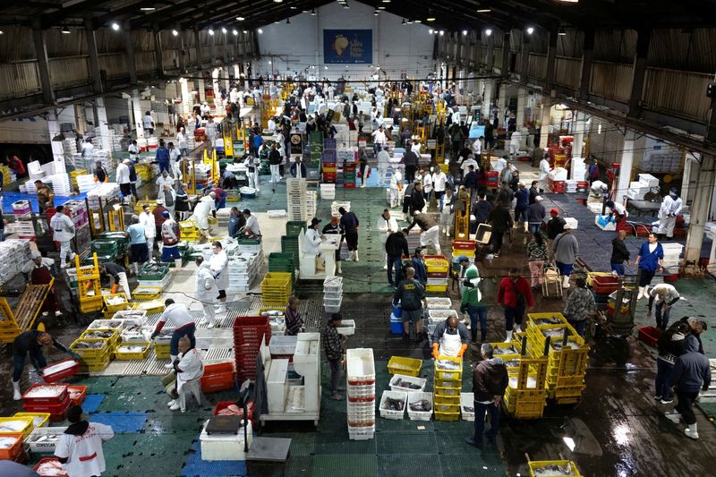 Brazil trims 2025 growth, inflation forecasts amid slowdown