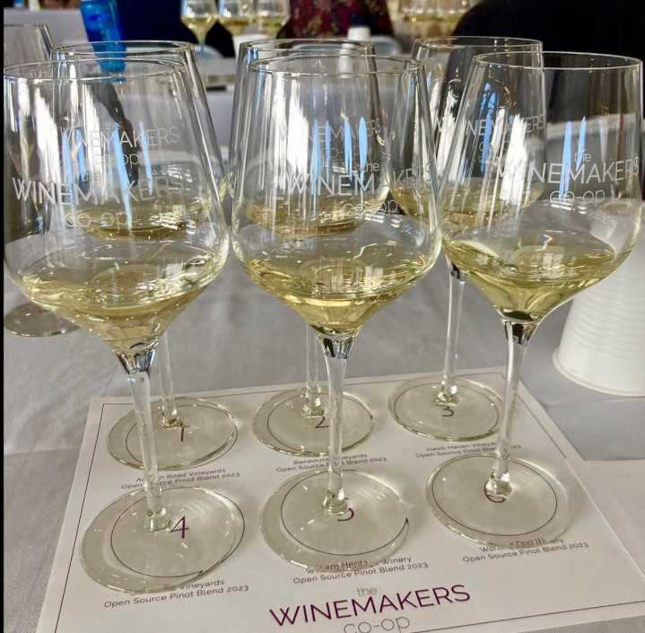 Winemakers Co-Op 2025: One-night tasting showcases N.J.'s collaborative wines