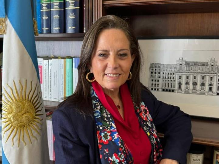 Laíño: "El traspaso afecta el principio de inamovilidad y debilita la independencia judicial"