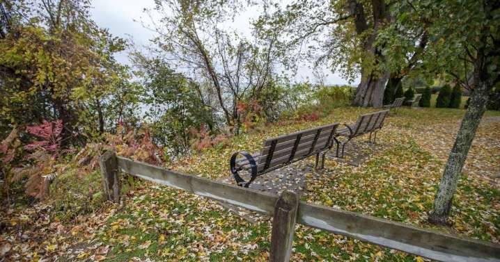 Report on how to deal with obstructed waterfront views requested by St. Catharines councillors