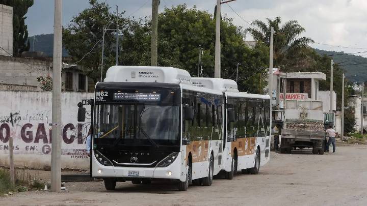 RUTA busca conductores para Línea 4, conoce aquí los detalles