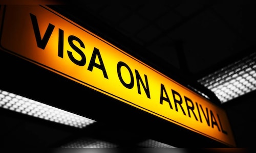 Can consider visa on arrival for medical treatment of patients from US, says Piyush Goyal