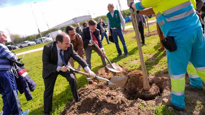 El renovado Parque Lineal de Montecarmelo: 128 nuevos árboles y 3.400 arbustos