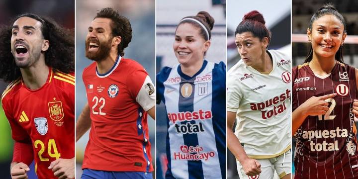 Partidos de hoy, sábado 15 de noviembre de 2025: programación, canales TV y resultados en vivo