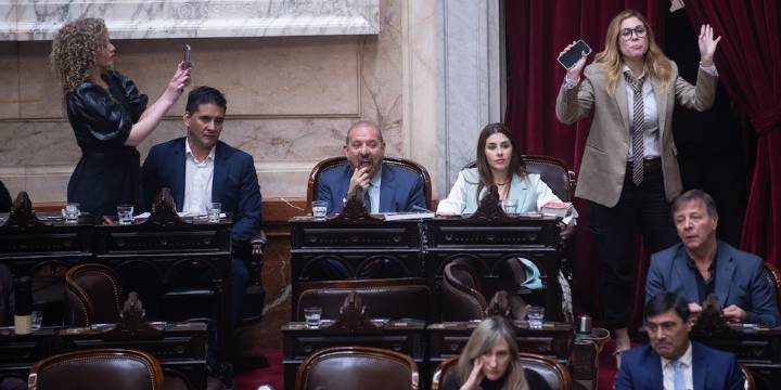 Negociación clave: el futuro de los ex libertarios que le podrían dar la primera minoría al Gobierno en Diputados