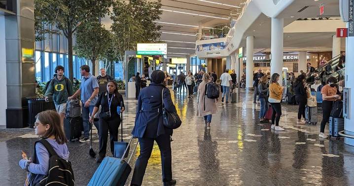 There's no timeline on when flight cuts will ease up after the government shutdown ends