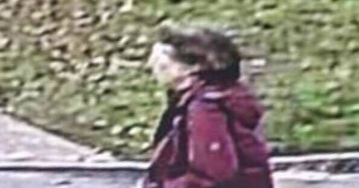 Body found in woodland in search for missing woman