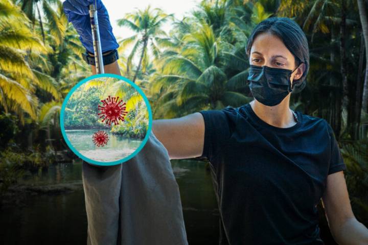 How do we stop the next pandemic?