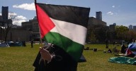 Toronto City Hall raises Palestinian flag, joining other cities across Canada