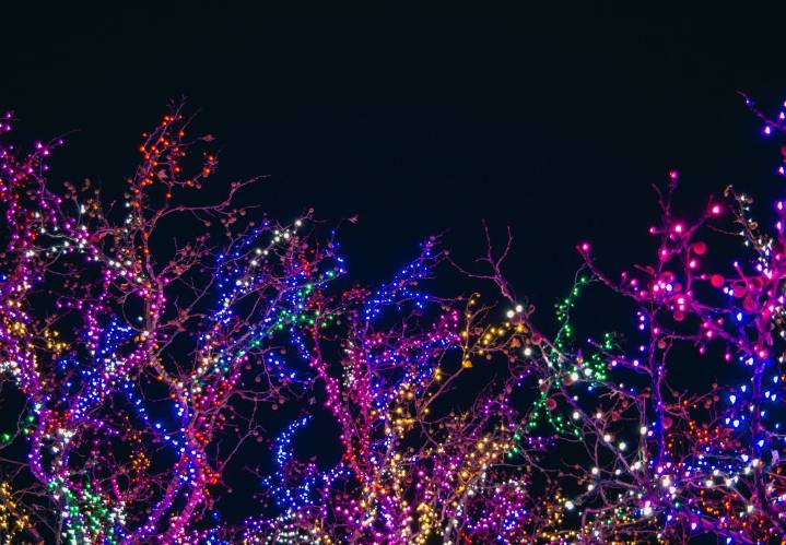 Indianápolis enciende la magia con Noches de Luces