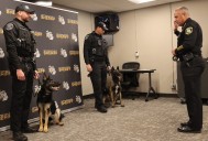 Two new police dogs to aid Macomb County Sheriff’s Office