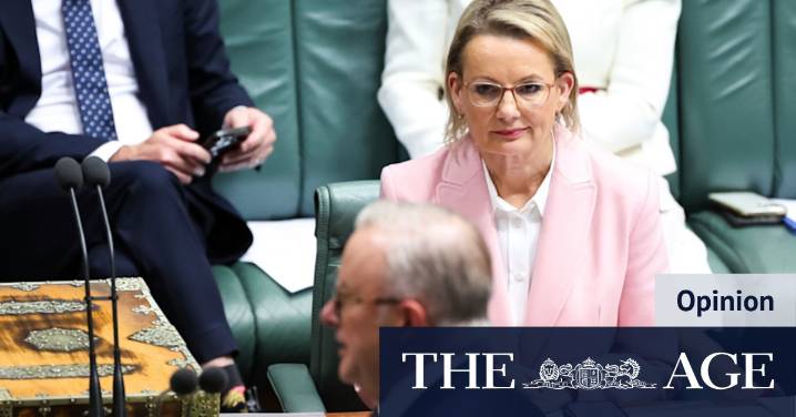 Sussan Ley needs to say ‘sorry’ - for more than just T