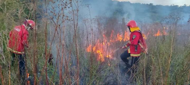 Con horas de diferencia en Irigoyen y Santa Ana, dos focos ígneos destrozaron malezas, una casa y un auto
