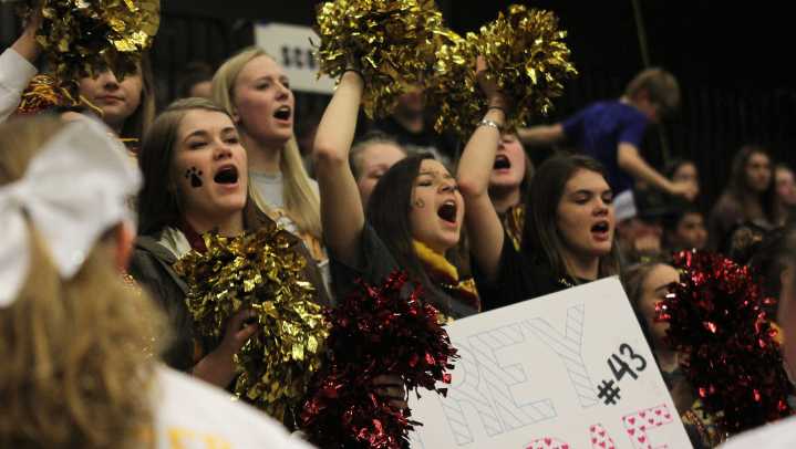 VOTE: Volleyball, football stars up for Athlete of the Week, Nov. 4