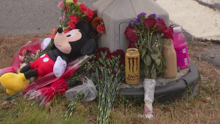 Cobleskill student to be honored with celebration on life