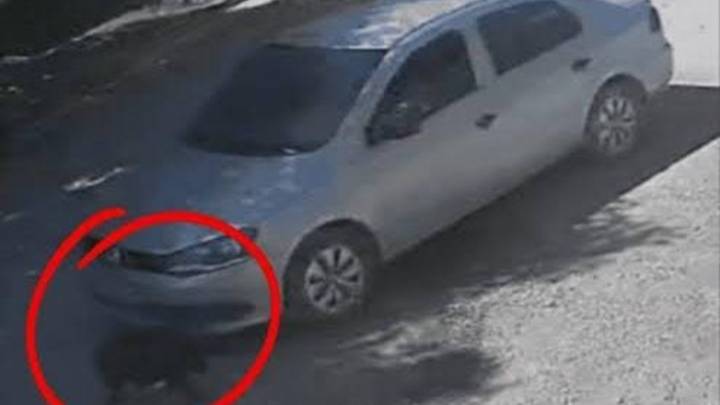 Una condena y una inhabilitación para conducir por dos hechos de crueldad animal