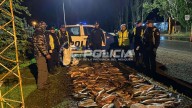 Pesca ilegal: secuestraron 170 truchas en un control en la Ruta 40