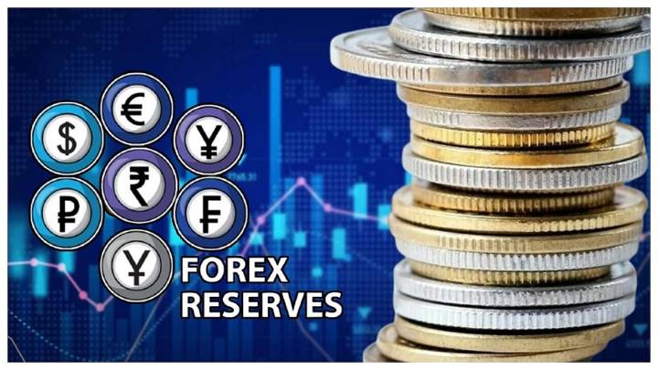India's Forex Reserves Jump $5.543 Billion To $692.576 Billion During The Week Ended November 14 Due To Rise In The Value Of Gold Reserves