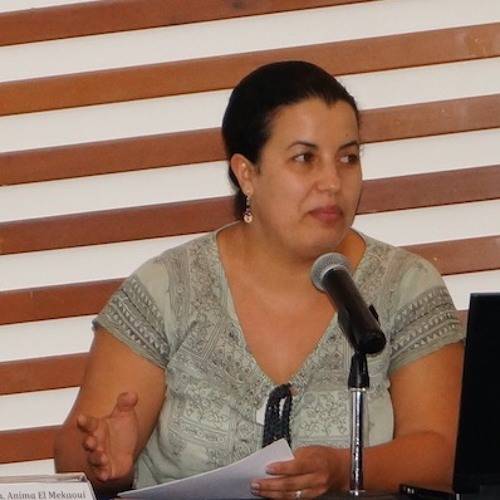 Nayarit y Sahara Marroquí fortalecen cooperación académica y territorial