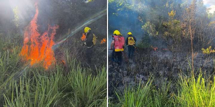 Misiones emitió una alerta por el alto riesgo de incendios en la provincia y llamó a extremar los recaudos