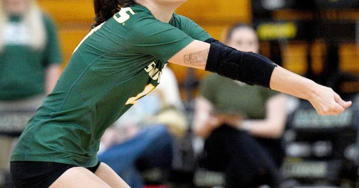Southern volleyball falls to No. 20 Western