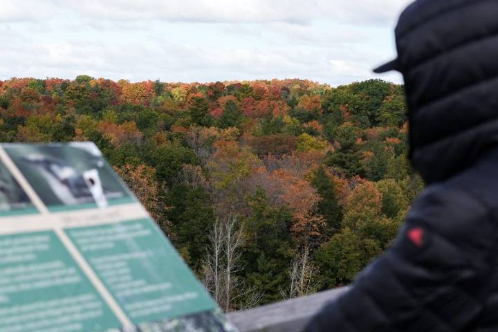 Family rescued after getting lost on a hike in GTA park