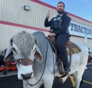 No bull: Video captures Alliance cop’s encounter with cowboy and companion