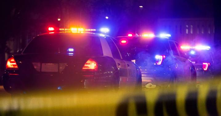 Girl, 14, gives birth at home and 'dumps dead baby in tote bag after hiding pregnancy'