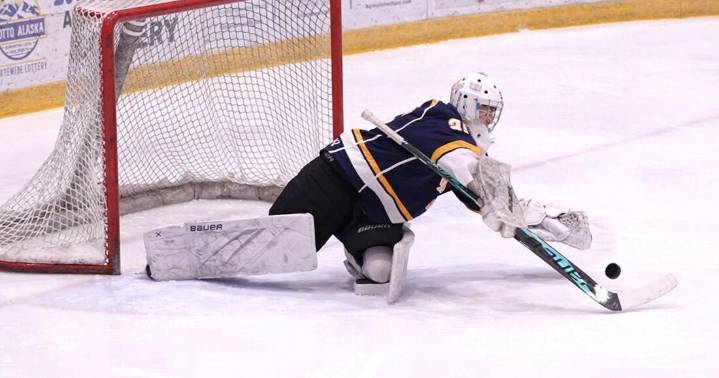 Interior high school hockey roundup: Tri-Valley 1, Monroe Catholic 10