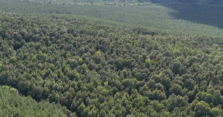 ALDOT director warns developer of Bessemer data center planned in Northern Beltline territory of 'direct conflict'