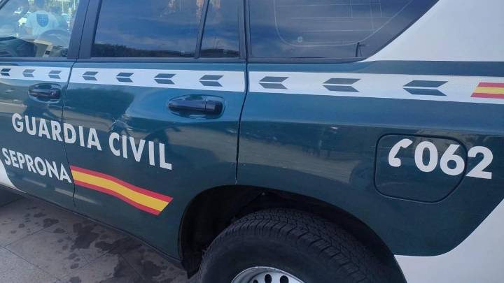 Hallados muertos 27 perros de caza en un furgón que llegó a Palma en barco desde Barcelona