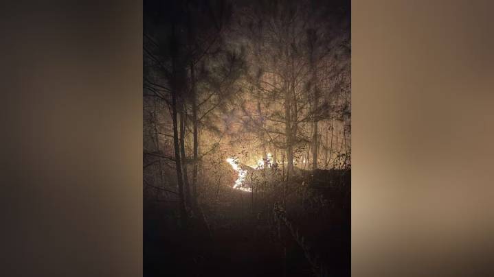 Múltiples unidades combaten incendio forestal en el condado de Talladega