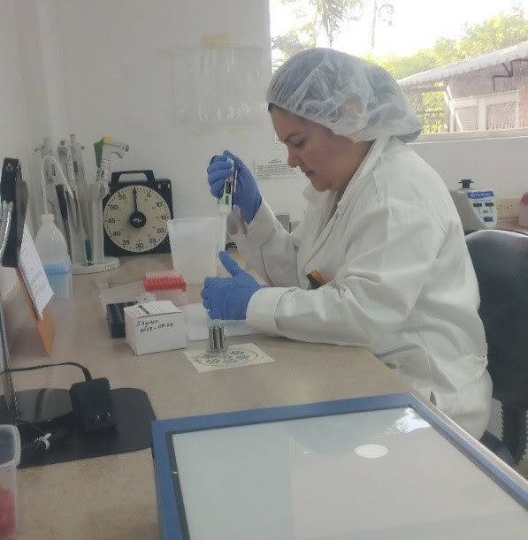 Laboratorio veterinario de Arauca apoya el diagnóstico de brucelosis bovina