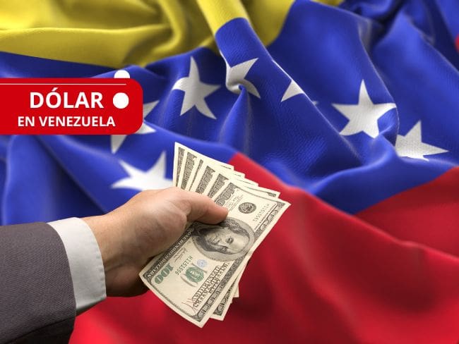 ¿Bajó? Cotización del dólar en Venezuela HOY 19 de noviembre, según Banco Central de Venezuela
