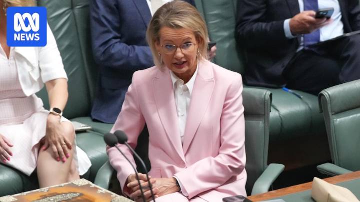 Sussan Ley almost certain to face challenge next year, detractors say
