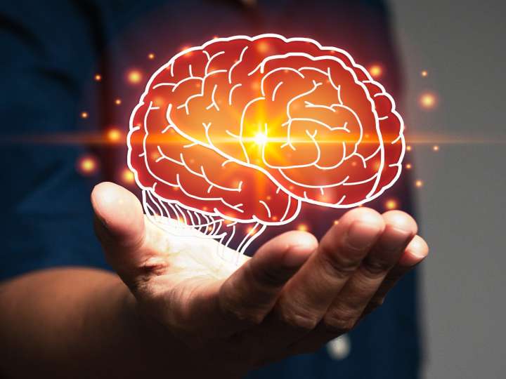 Five newly discovered life stages of your brain include a prolonged adolescence from age 9 to 32