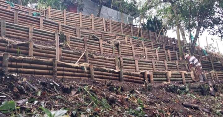 Esta alternativa ecológica sería solución para los municipios del Eje Cafetero afectados por deslizamientos