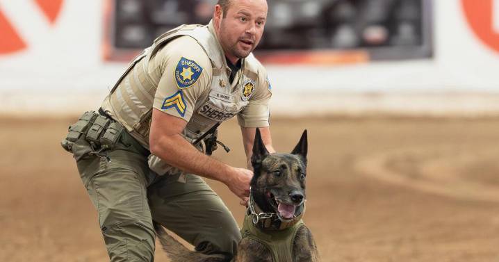 Coconino County Sheriff’s canine team takes overall honors at regional competition